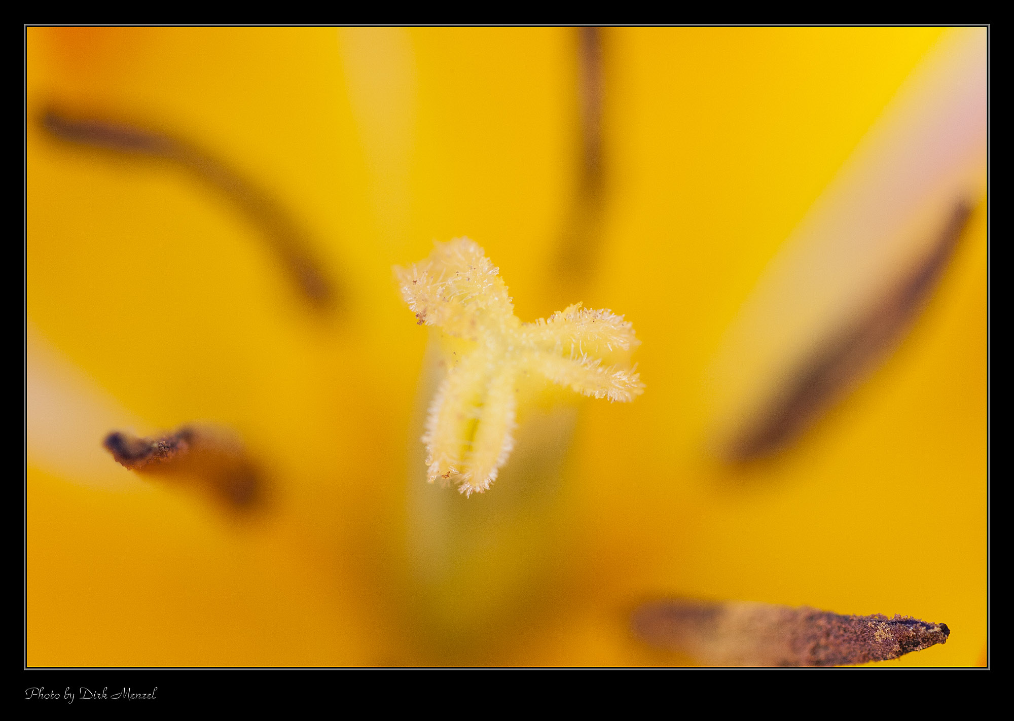 2013 04 30 Rösrath 0001