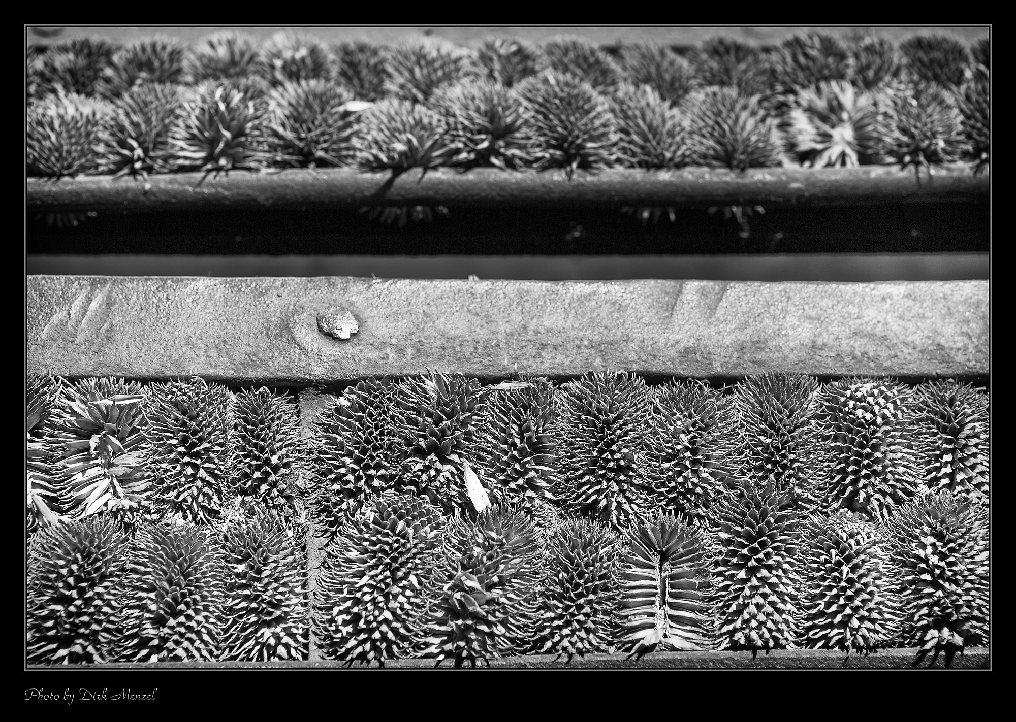 LVR-Industriemuseum Tuchfabrik Müller