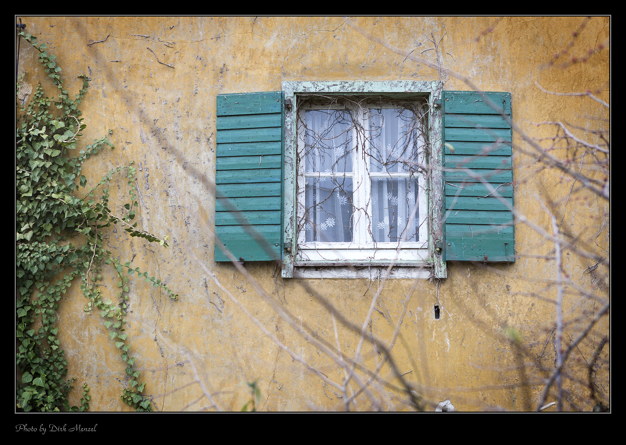 Das Haus der alten Dame