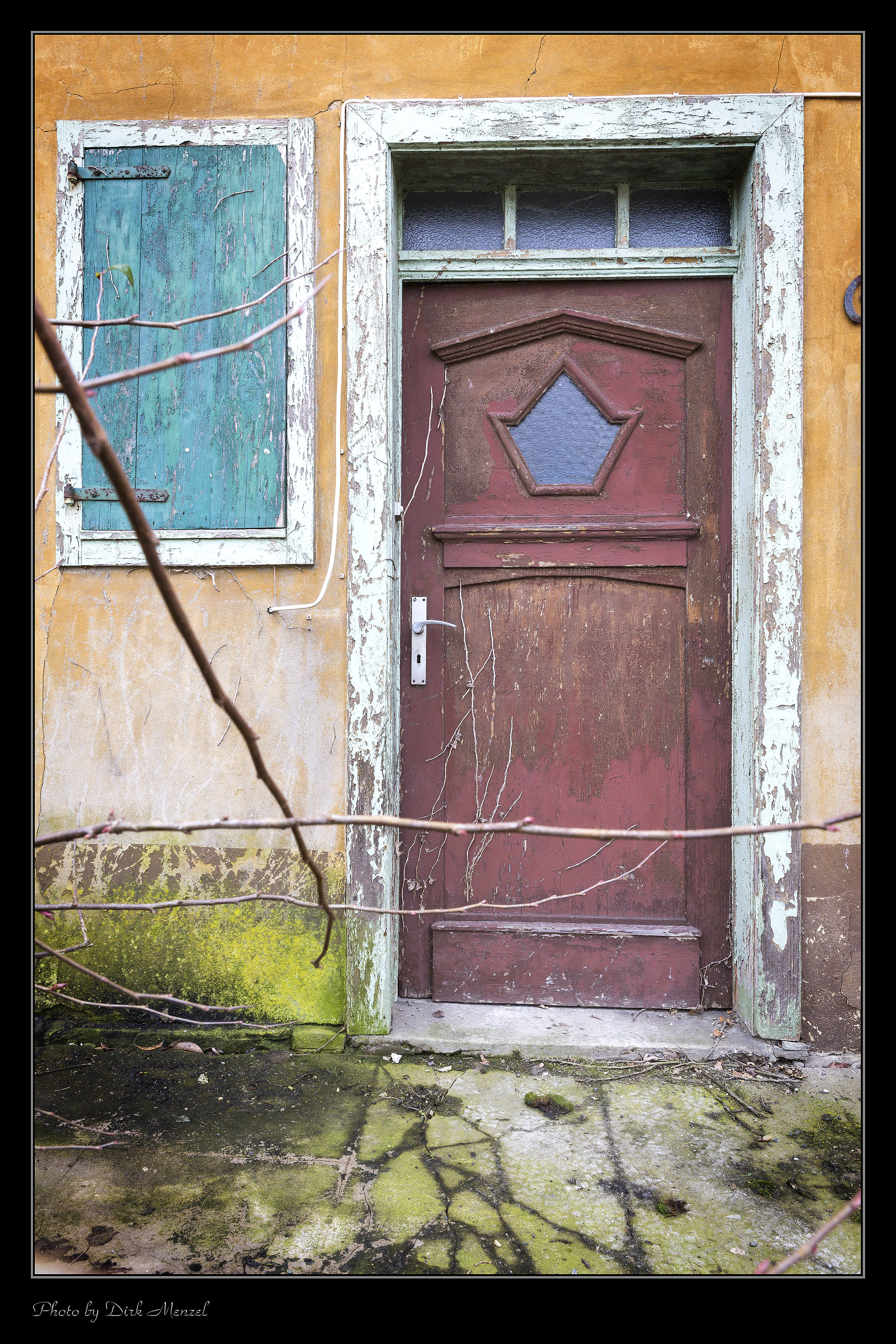 Das Haus der alten Dame