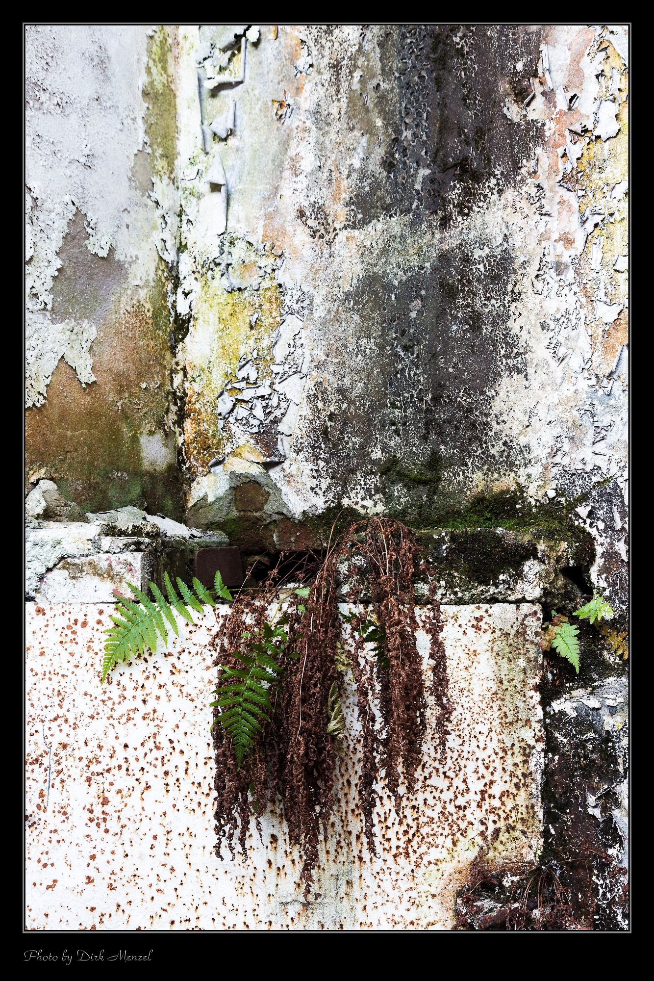 Homburger Papiermühle