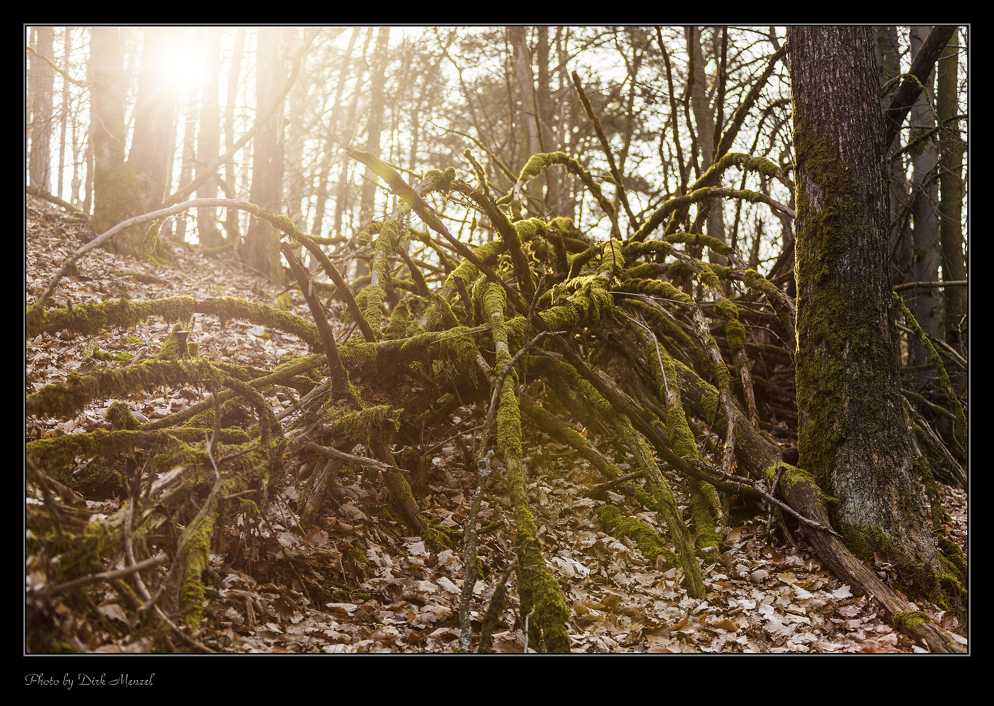 Kurztrip nach Manderscheid