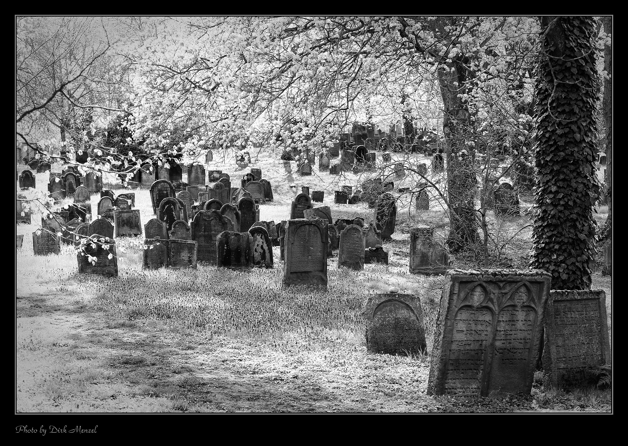 Friedhöfe