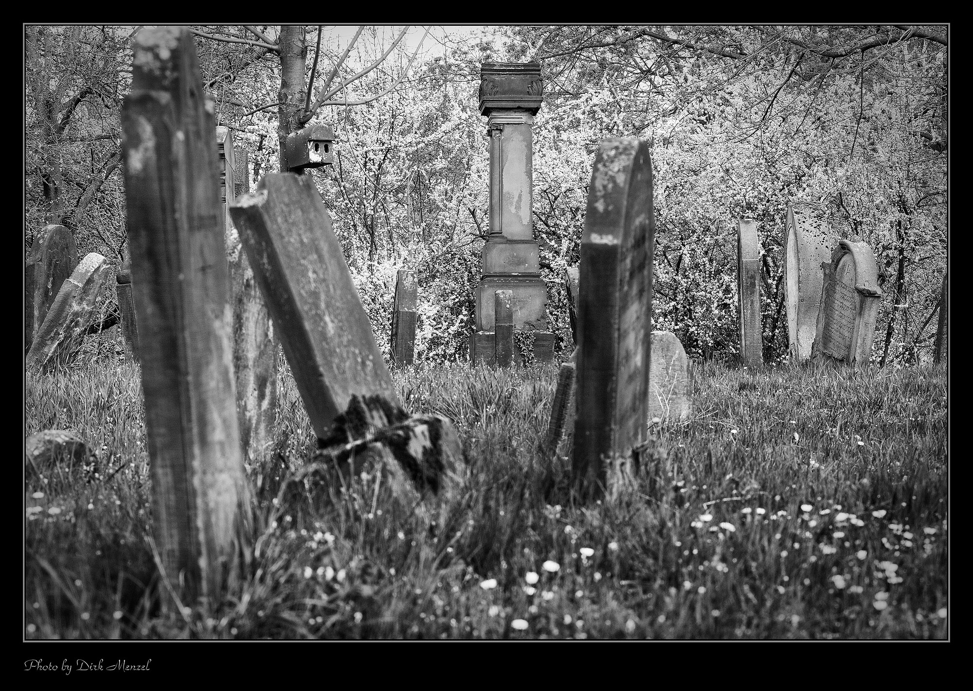 Jüdischer Friedhof "Heiliger Sand"