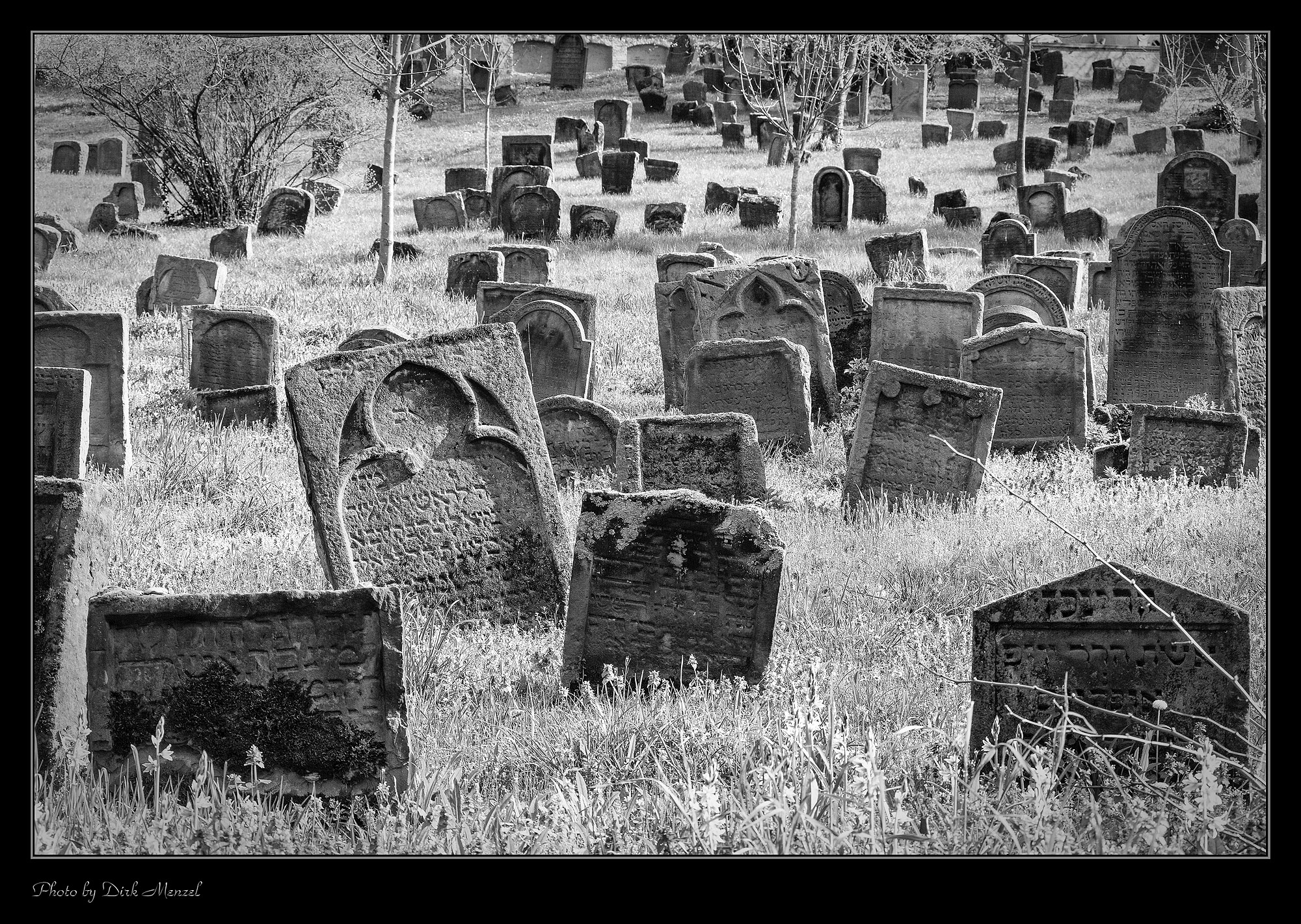 Jüdischer Friedhof "Heiliger Sand"